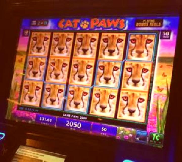 Sticky Paws slot machine