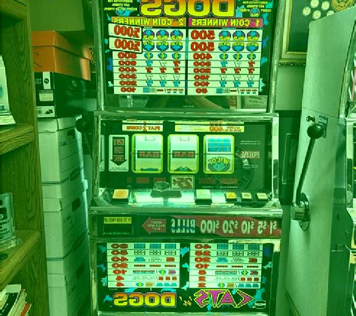 Street Dogs slot machine