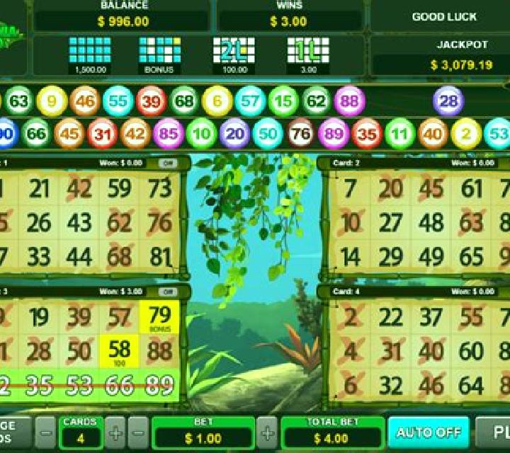 Super 30 Bingo slot game