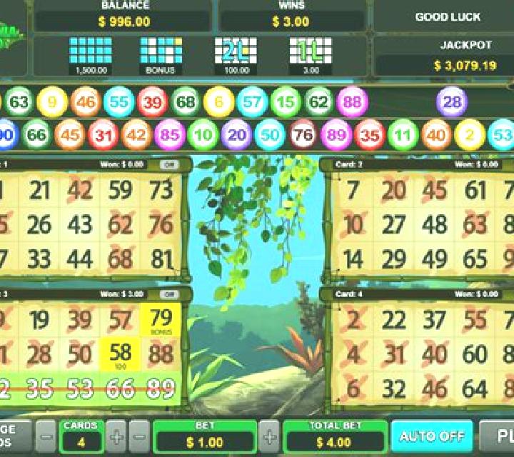 Super 30 Bingo slot
