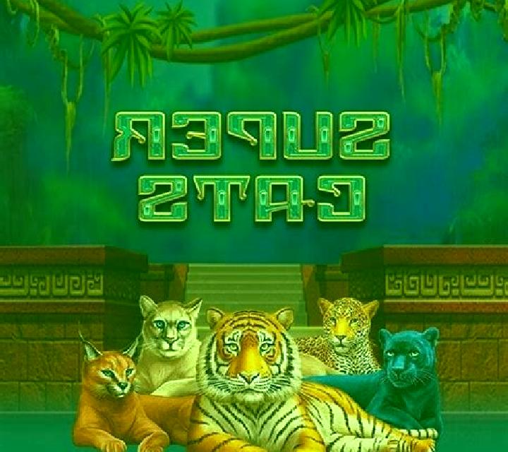 Super Cats slot game