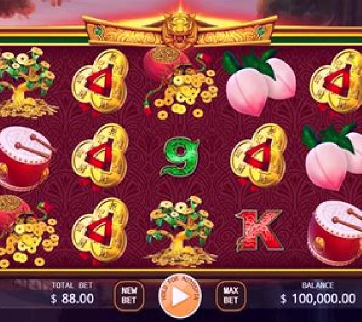 Super Dragon Tiger slot
