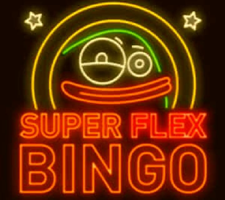 Super Flex Bingo slot