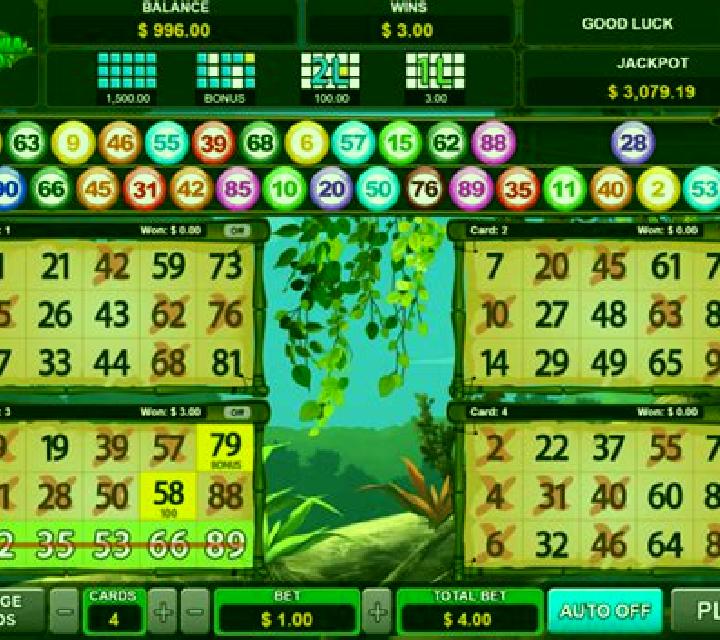 Surfing Beauties Video Bingo slot machine