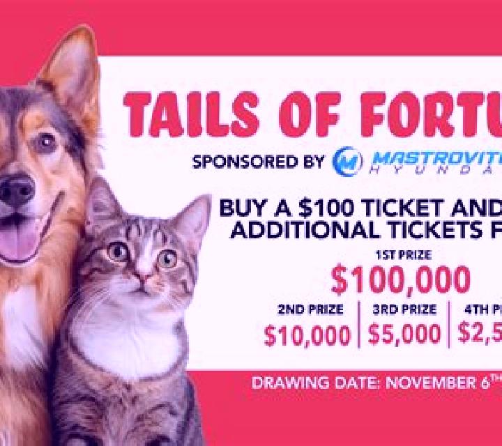 Tails Fortune 5000 online slot