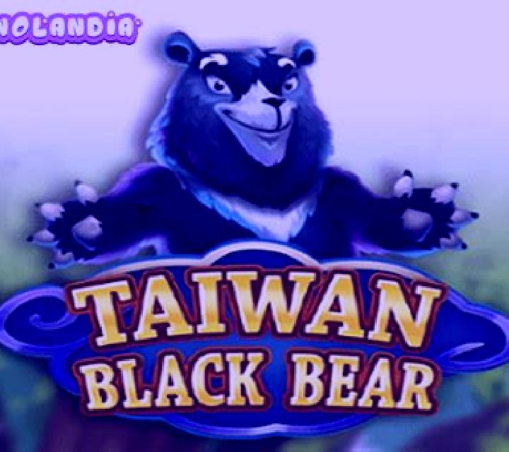 Taiwan Black Bear online slot