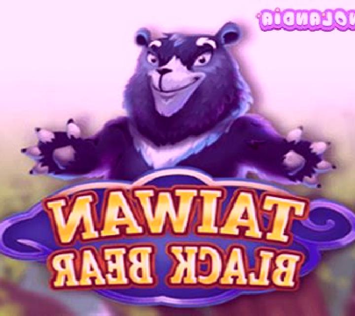 Taiwan Black Bear slot machine