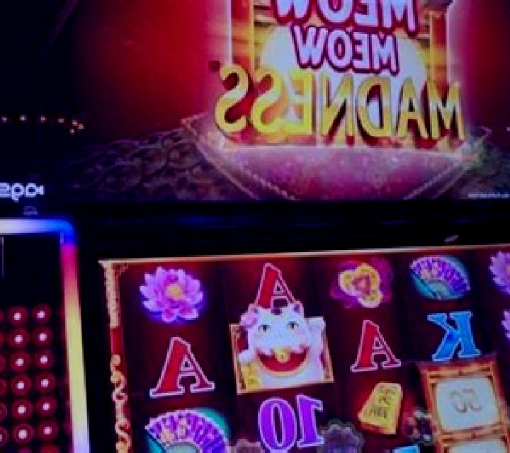 Tales Of Meow slot machine