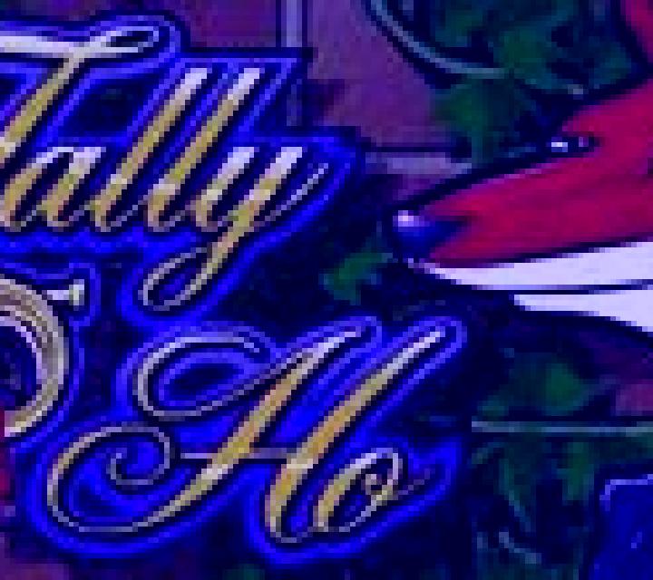 Tally Ho slot game