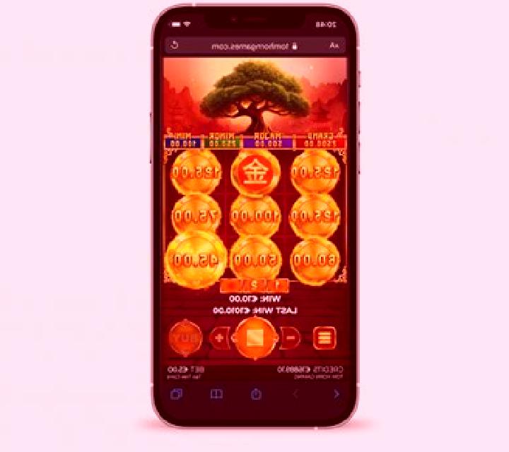 Tao Tree Coins slot game