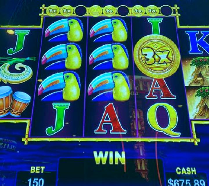 Tea Party of Fortune slot machine