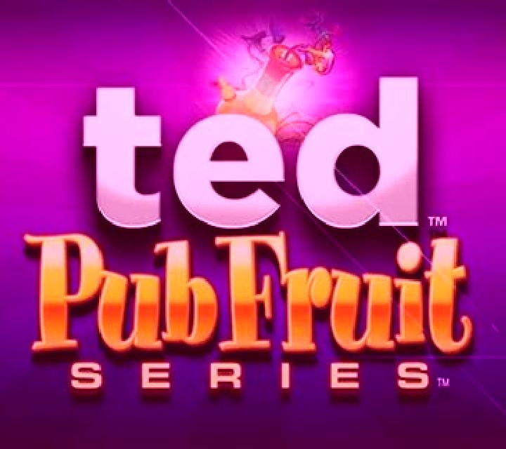 Ted Pub Fruit Series slot