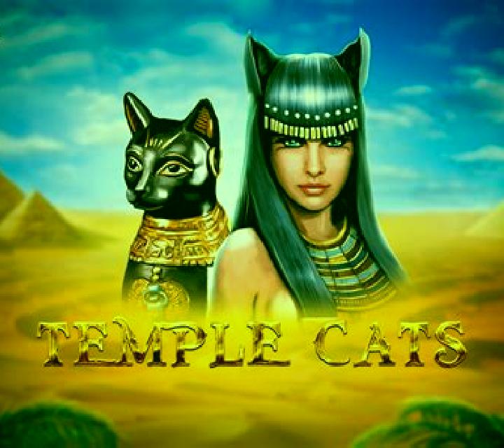 Temple Cats slot game