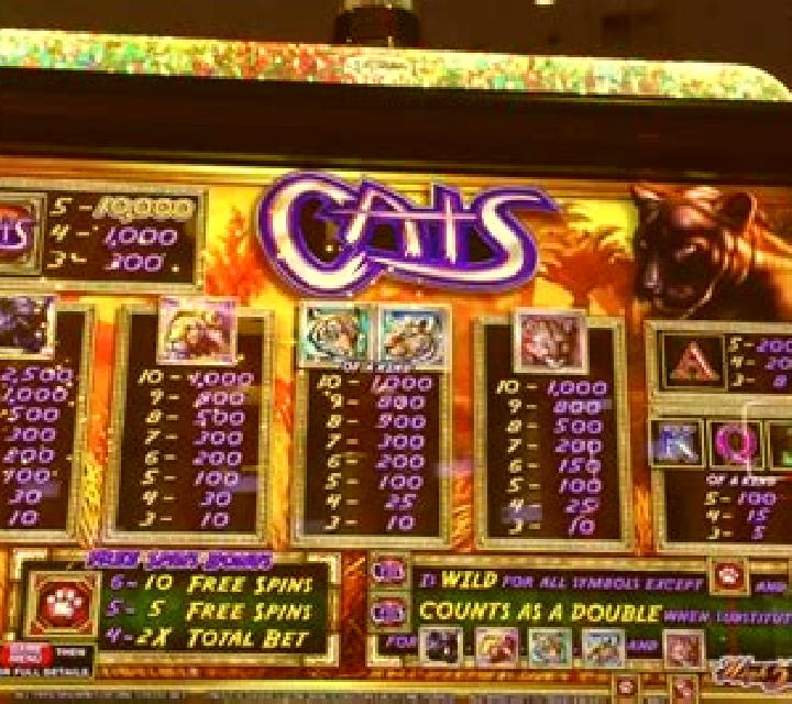 Temple Cats slot machine