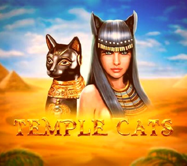 Temple Cats slot
