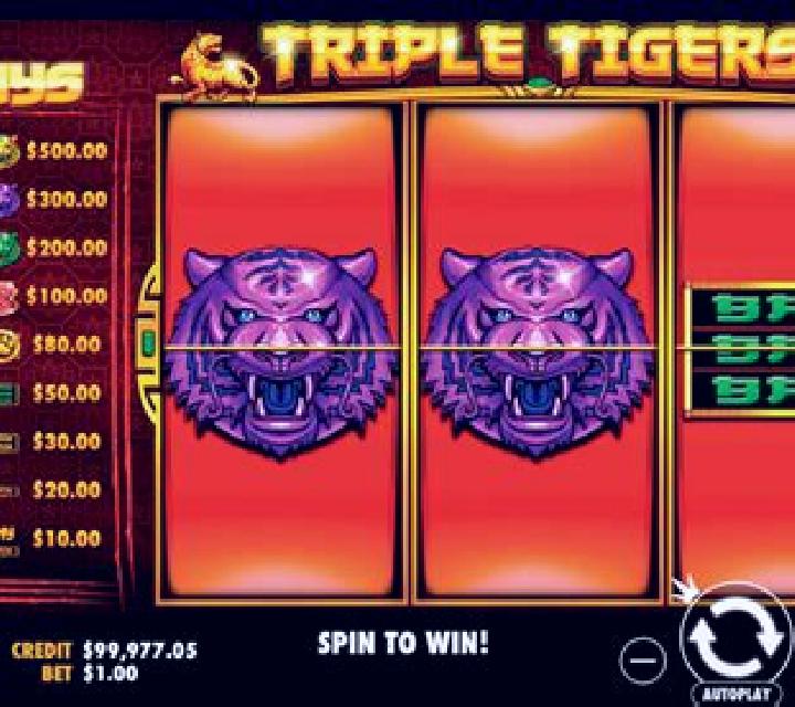 Ten Tigers slot game