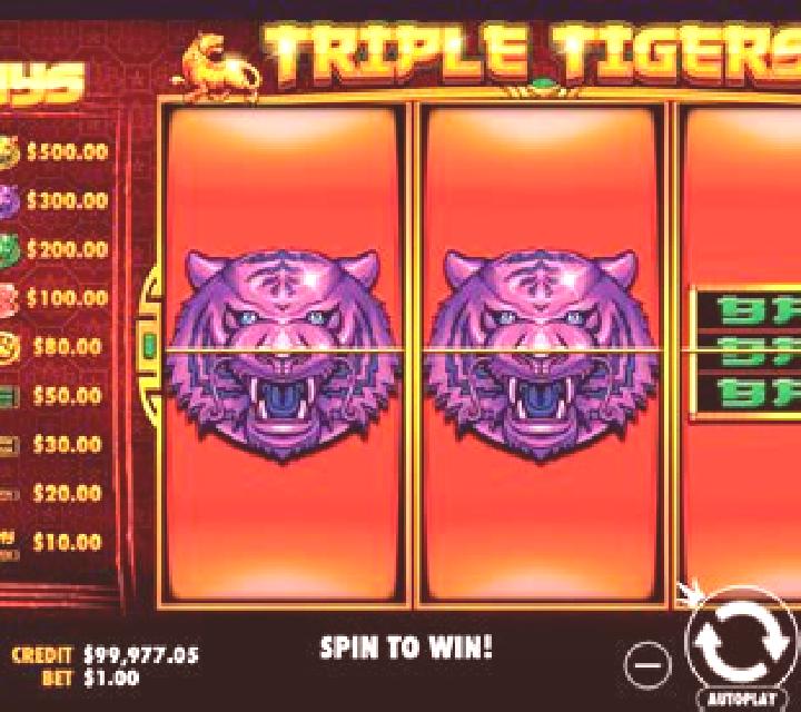 Ten Tigers slot