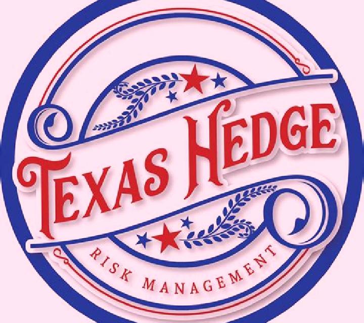 Texas Hedge Em online slot