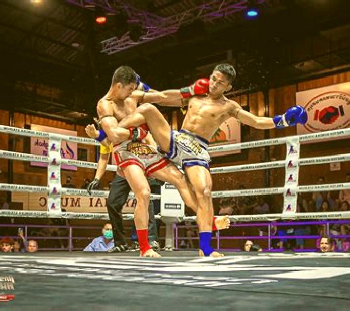 Thai Boxing slot game