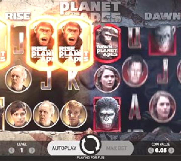 The Apes slot machine