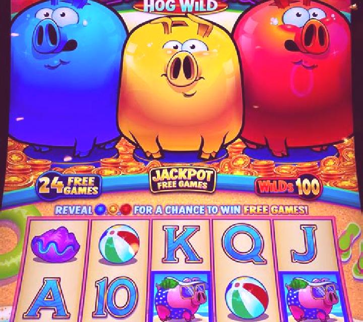 The Big Coin Pig slot machine
