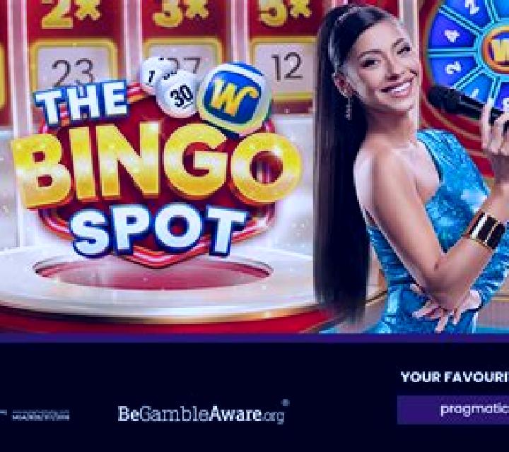 The Bingo Spot slot game