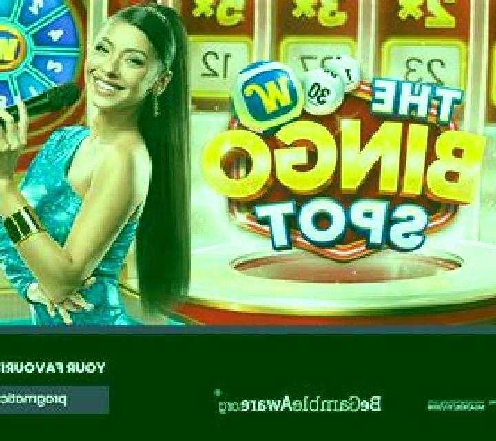 The Bingo Spot slot