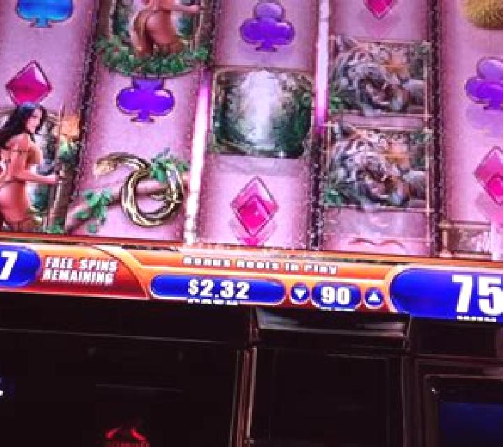 The Desire of The Wild slot machine