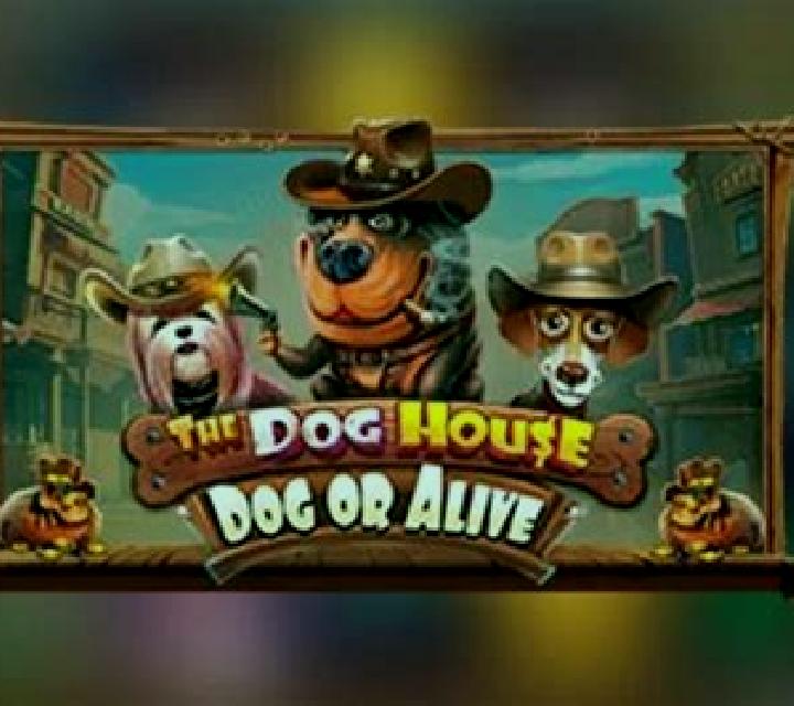 The Dog House - Dog or Alive slot game