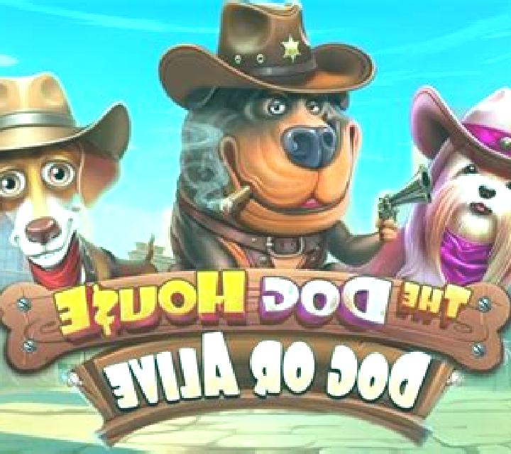 The Dog House - Dog or Alive slot machine
