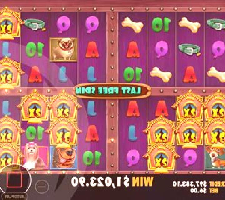 The Dog House Megaways 1000 slot game