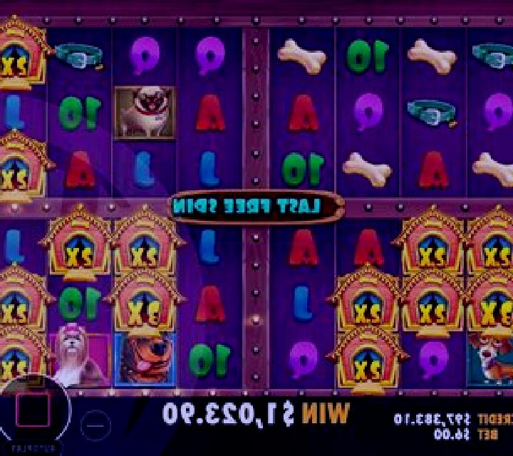 The Dog House Megaways 1000 slot machine