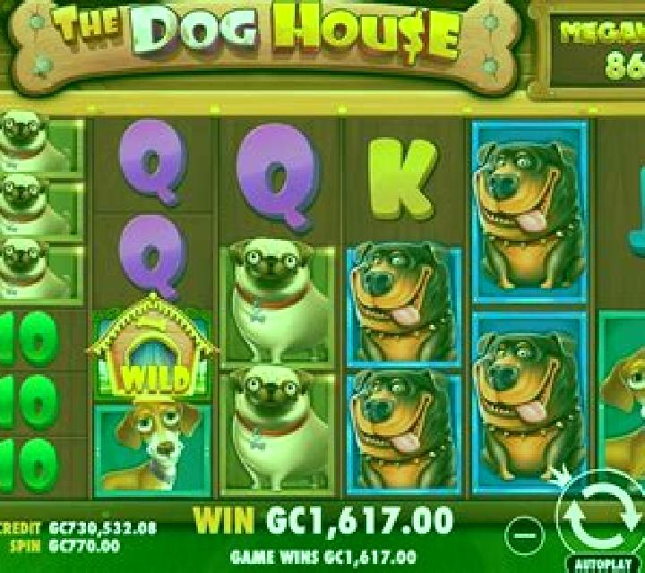 The Dog House Megaways slot game
