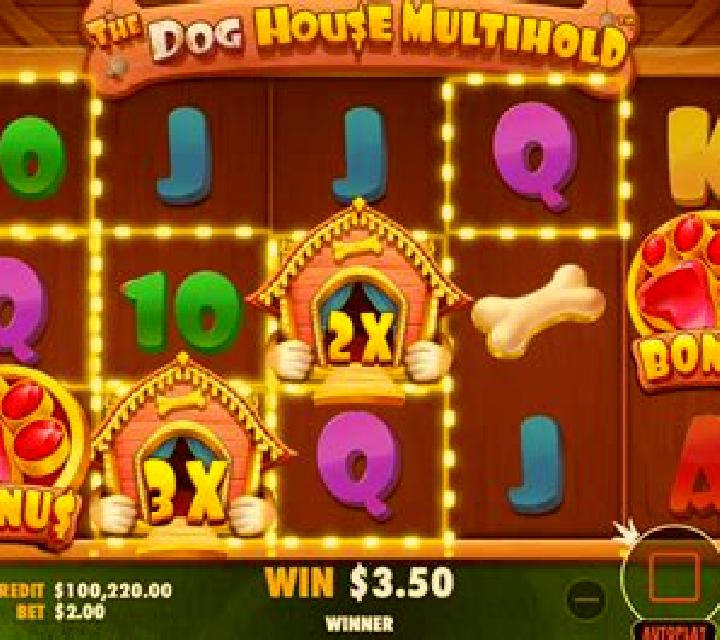 The Dog House Multihold slot game