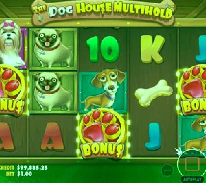 The Dog House Multihold slot machine