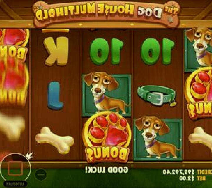 The Dog House Multihold slot