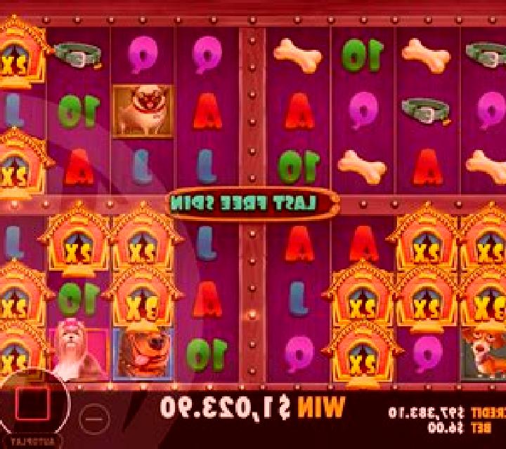 The Dog House - No Dog Left Behind slot machine