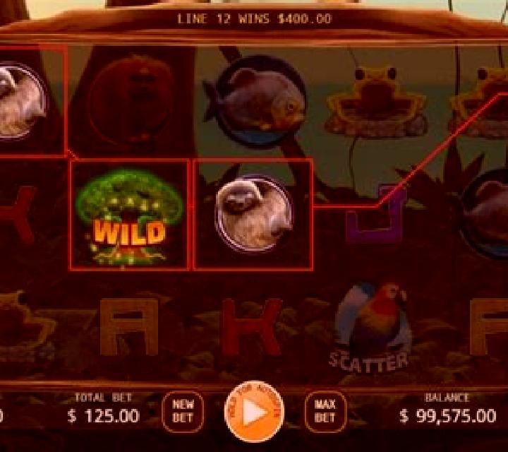 The Primeval Rainforest slot
