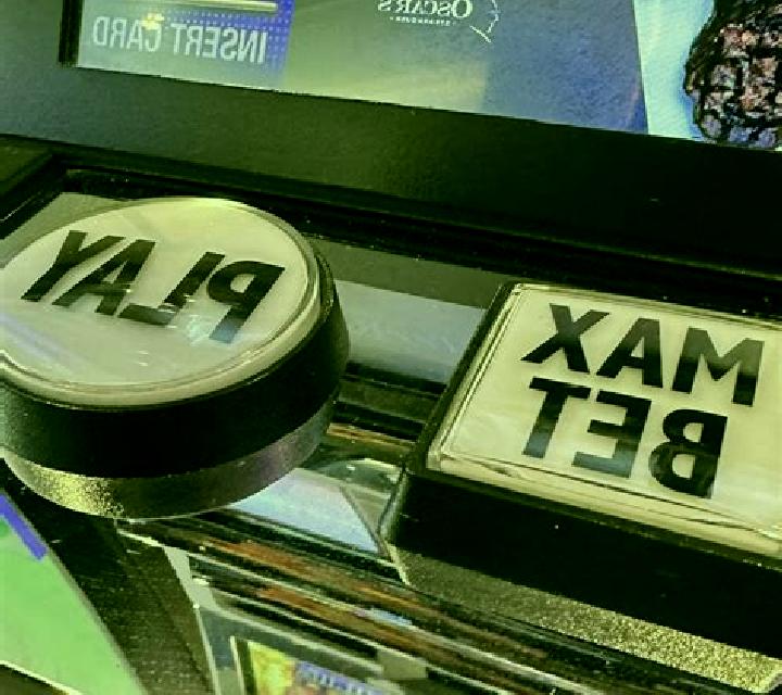 The Royals: Go Camping slot machine