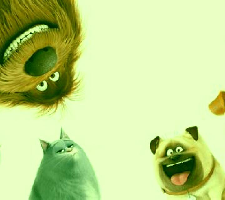 The Secret Life of Pets slot game