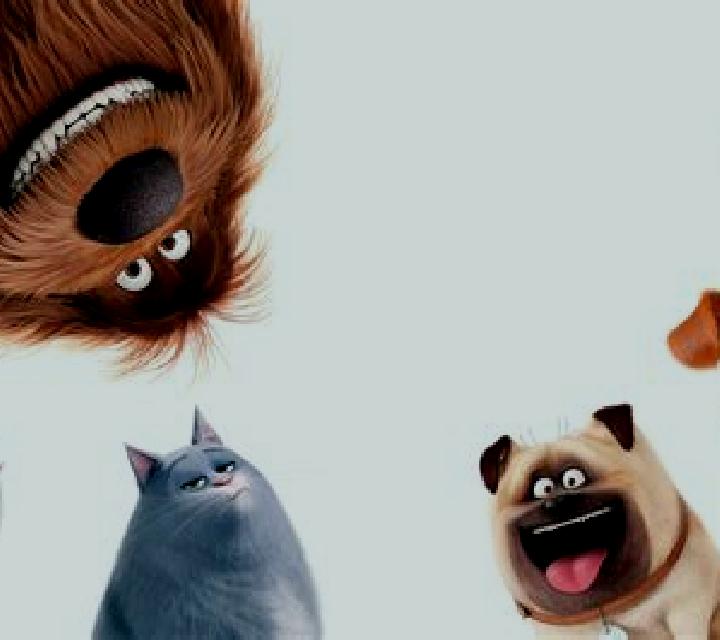 The Secret Life of Pets slot machine