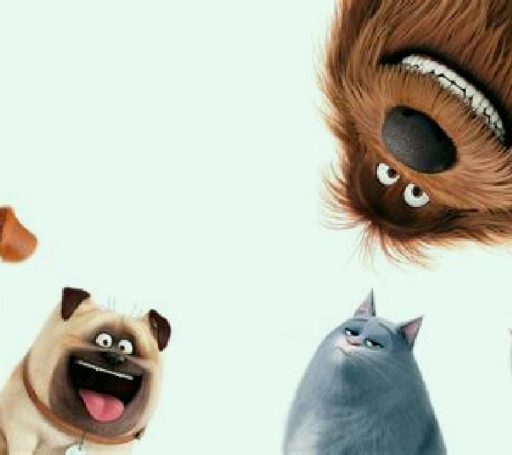 The Secret Life of Pets slot