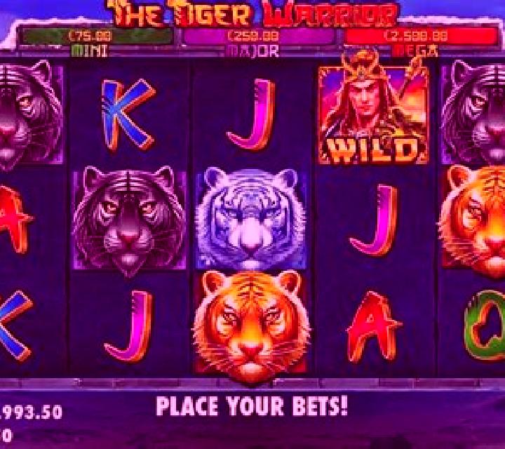 The Tiger Warrior slot