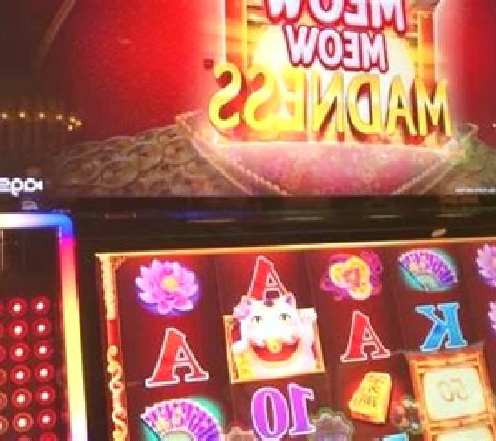 The Time is Meow slot machine