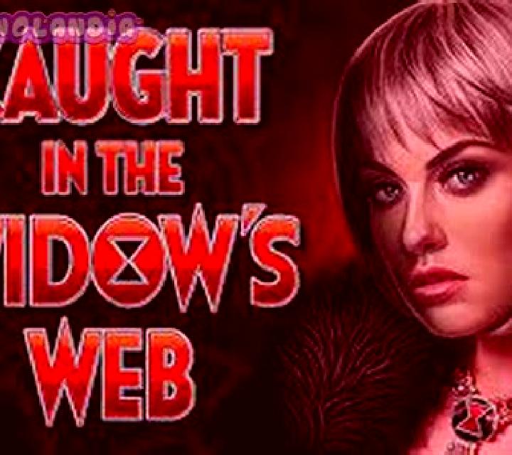 The Widow s Ways online slot
