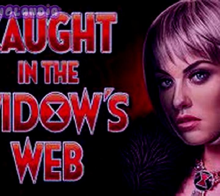 The Widow s Ways slot