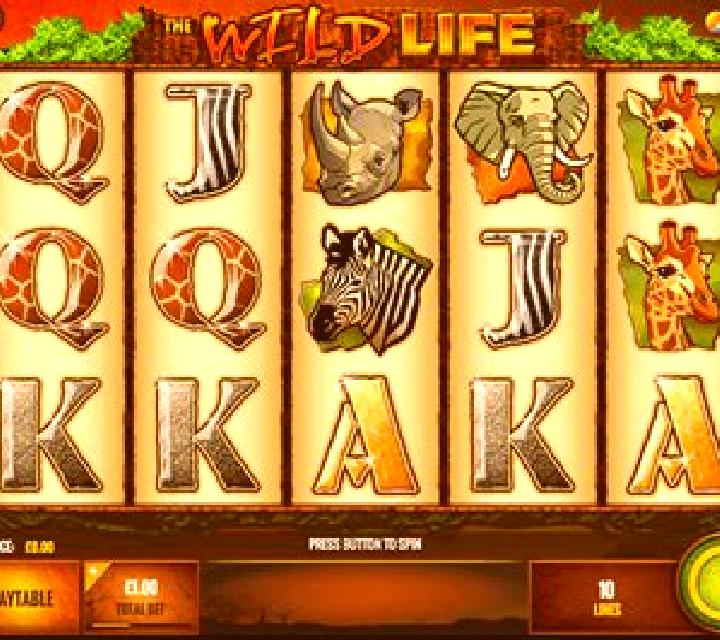 The Wild Life slot machine