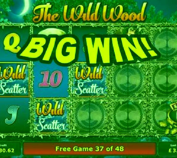 The Wild Wood™ slot game