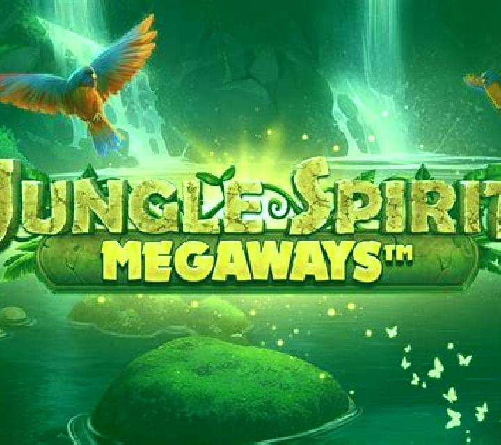The Wish Master Megaways slot game