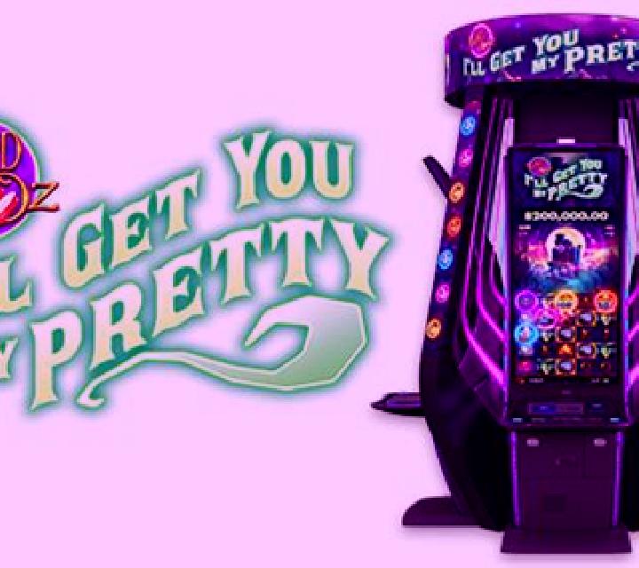 The Wizard of Oz I ll Get You My Pretty slot machine